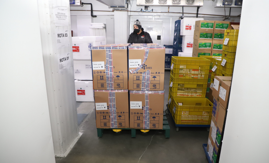 118.170 doses da Pfizer chegam ao Paraná, completando a remessa da semana. Foto: Ari Dias/AEN