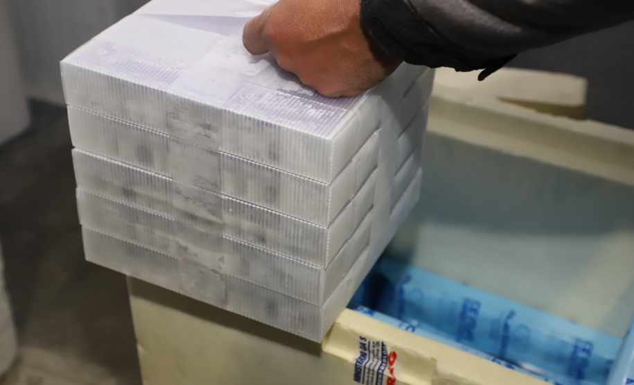 118.170 doses da Pfizer chegam ao Paraná, completando a remessa da semana. Foto: Ari Dias/AEN