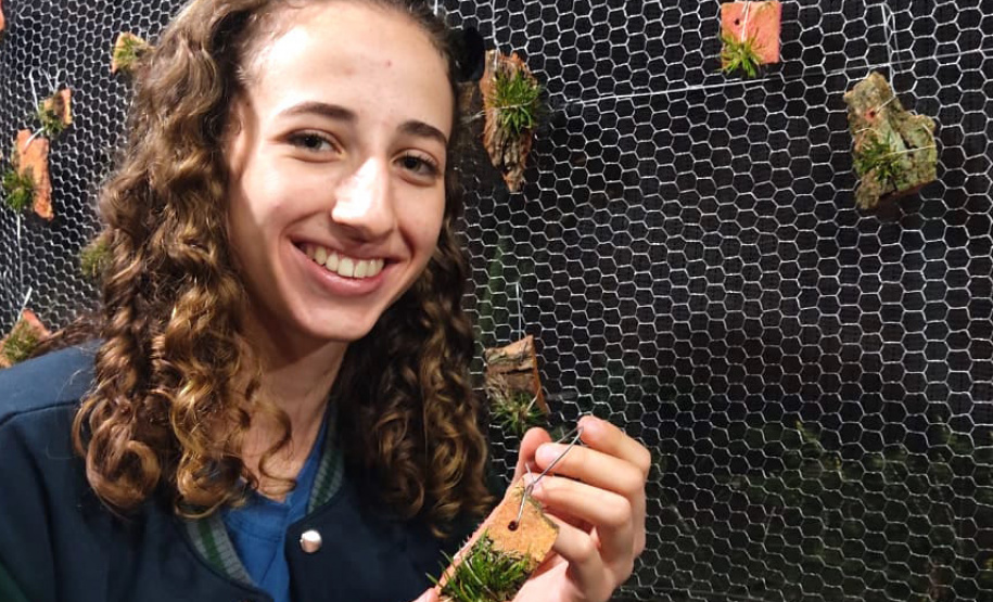 Aos 17 anos, a estudante Rafaela Furlanetto Liberali desenvolve, no clube de ciências do Colégio Estadual Jardim Porto Alegre, em Toledo, uma pesquisa que objetiva reduzir o tempo de germinação de orquídeas, processo que demora entre 3 e 10 anos, dependendo da espécie