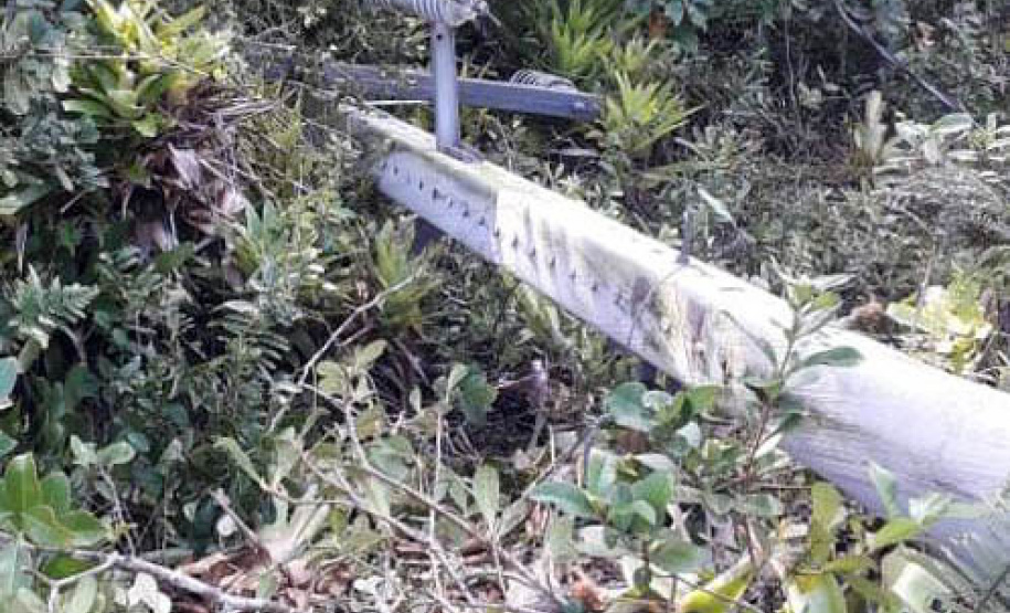 Polícia Civil do Paraná prende homem em flagrante por furto de energia no Litoral
Foto PCPR