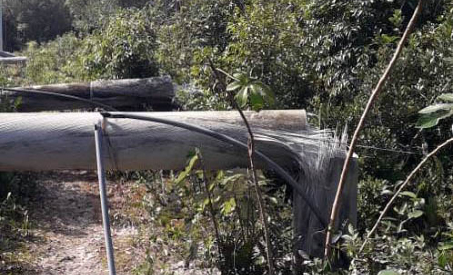 Polícia Civil do Paraná prende homem em flagrante por furto de energia no Litoral
Foto PCPR