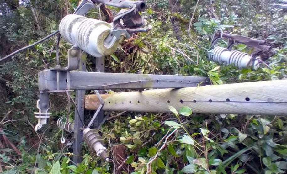 Polícia Civil do Paraná prende homem em flagrante por furto de energia no Litoral
Foto PCPR