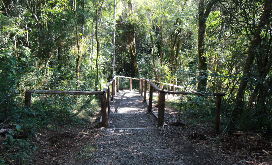A inclusão de projetos de concessão de uso de Unidades de Conservação (UC?s) no Programa de Parcerias do Paraná (PPP) foi o tema debatido nesta quarta-feira (28), durante a 7ª Reunião do Conselho do Programa de Parcerias do Paraná. Os estudos de concessão são gerenciados pela Superintendência Geral de Parcerias (SGPAR), subordinada à Secretaria de Estado do Desenvolvimento Sustentável e do Turismo (Sedest).  -  Curitiba, 29/07/2021  -  Foto: Alessandro Vieira/AEN