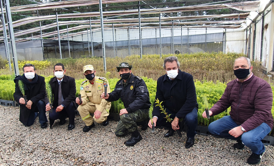 Estado reforça estrutura para monitoramento, prevenção, controle e combate a incêndios em Unidades de Conservação -  Curitiba, 29/07/2021 -  Foto: SEDEST