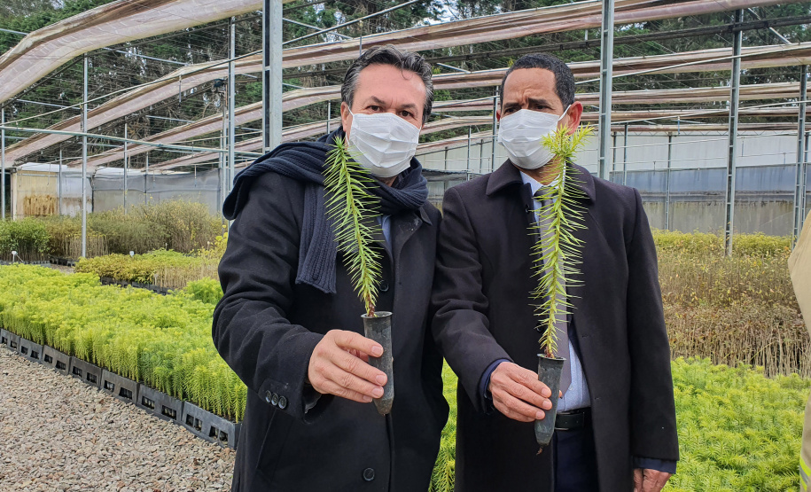 Estado reforça estrutura para monitoramento, prevenção, controle e combate a incêndios em Unidades de Conservação -  Curitiba, 29/07/2021 -  Foto: SEDEST