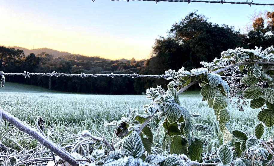 Mais 13 municípios batem recorde de temperaturas baixas para o ano no Paraná
Foto: Ana Tigrinho/AEN
