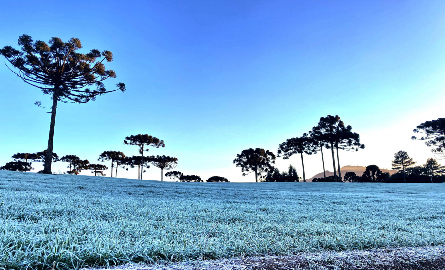 Mais 13 municípios batem recorde de temperaturas baixas para o ano no Paraná
Foto: Ana Tigrinho/AEN