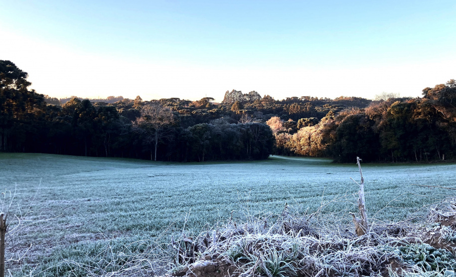 Mais 13 municípios batem recorde de temperaturas baixas para o ano no Paraná
Foto: Ana Tigrinho/AEN