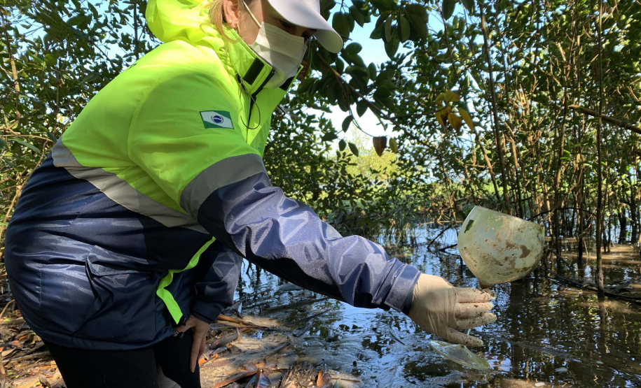 Nesta sexta-feira (30), 115 quilos de lixo foram recolhidos do manguezal, na Ilha do Teixeira, em Paranaguá. A ação integra o Programa de Monitoramento de Manguezais da Portos do Paraná. Foto: Pierpaolo Nota/ Portos do Paraná
