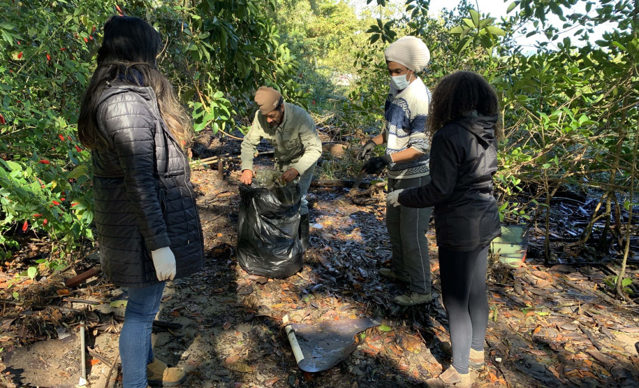 Nesta sexta-feira (30), 115 quilos de lixo foram recolhidos do manguezal, na Ilha do Teixeira, em Paranaguá. A ação integra o Programa de Monitoramento de Manguezais da Portos do Paraná. Foto: Pierpaolo Nota/ Portos do Paraná