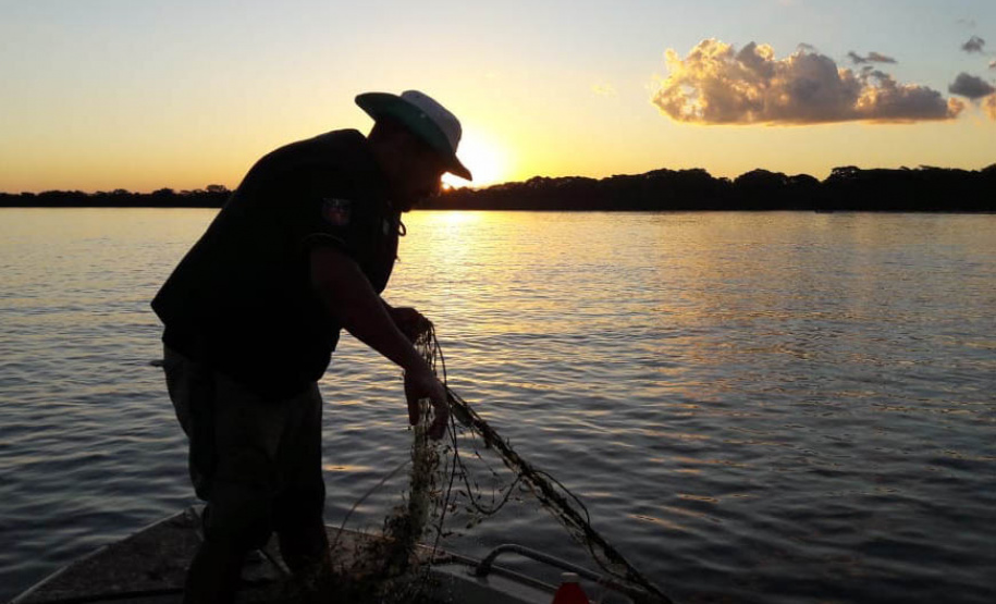 A pesca em todas as suas modalidades está proibida na Bacia Hidrográfica do Rio das Cinzas e de seus afluentes. A decisão, prevista na Portaria nº 242/2021, publicada nesta semana em Diário Oficial pelo Instituto Água e Terra (IAT), considera a proteção e a gestão integrada dos recursos ictiológicos existentes, frente ao período crítico de escassez hídrica. - Curitiba, 30/07/2021 - Foto: SEDEST