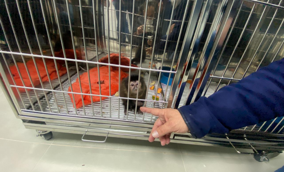 Cascavel ganha Centro de Atendimento à Fauna Silvestre.Foto: SEDEST