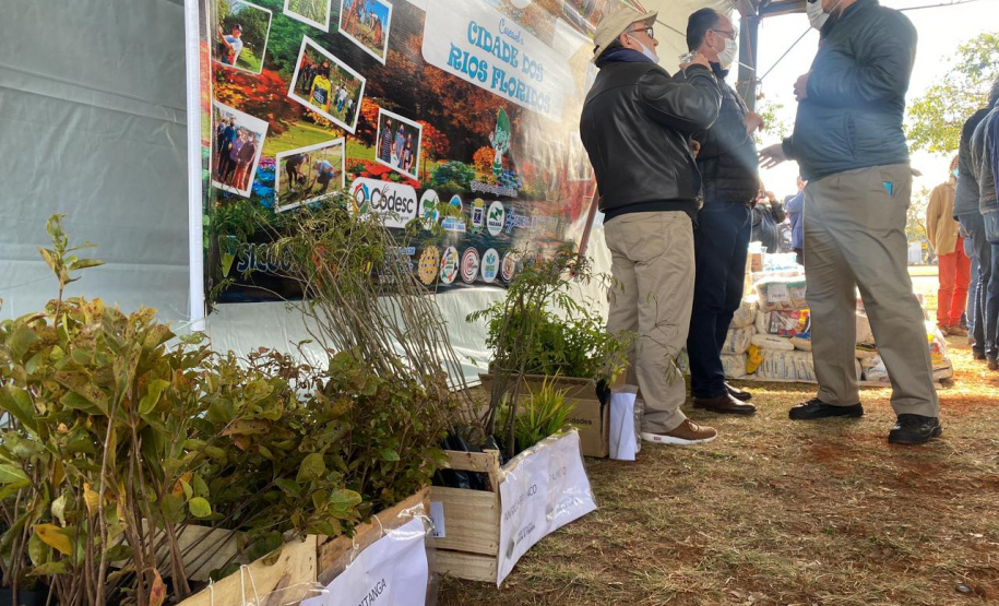Cascavel fará o plantio de 1 milhão de mudas nativas. Foto: SEDEST