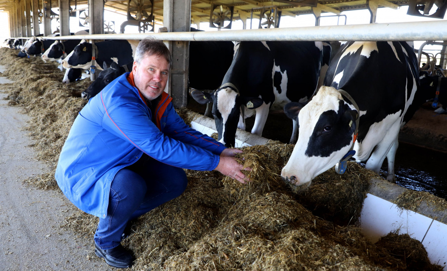 Armando Rabbers costuma dizer que a paixão pela pecuária leiteira veio do berço. O pai, um típico holandês, trouxe as primeiras sete vacas holandesas junto no navio em que atravessou o Atlântico para fazer a vida no Brasil.

. Foto: Ari Dias.AEN