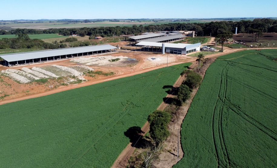 Tecnologia amplia eficiência e faz de Castro referência nacional na produção de leite. Arkafla. Foto: Ari Dias/AEN