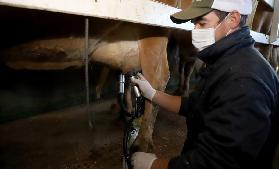 Centro de Treinamentos para Pecuaristas (CTP), em Castro. Foto: Ari Dias/AEN