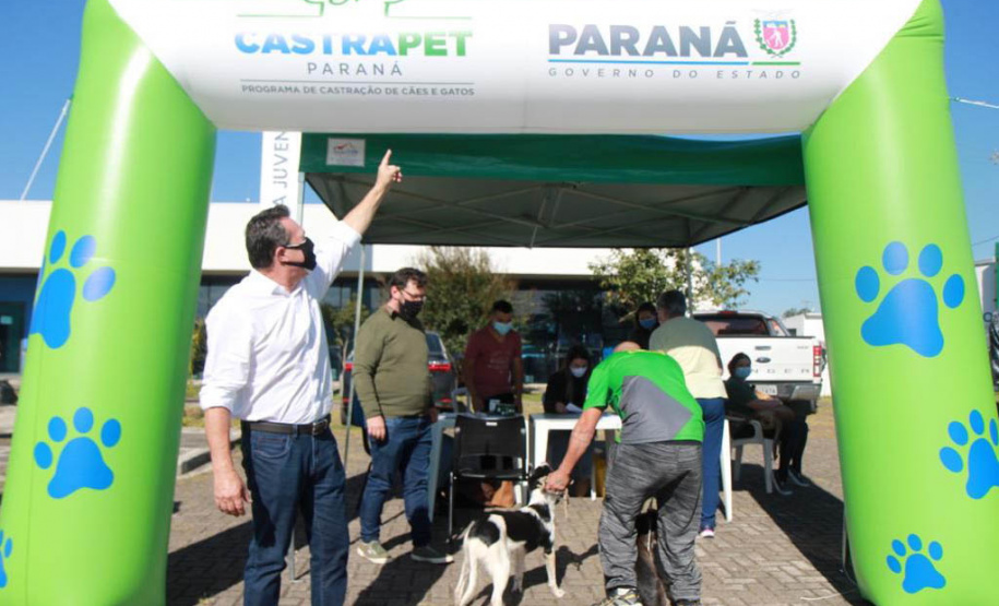 O Programa Permanente de Esterilização de Cães e Gatos ? Castrapet chega a Campo Mourão nesta terça-feira (03). Ao todo, 405 animais são aguardados no castramóvel do Governo do Paraná, entre cães e gatos.  O programa é permanente e a meta é atingir 100% do Estado. -  Curitiba, 02/08/2021  -  Foto: Alessandro Vieira/AEN