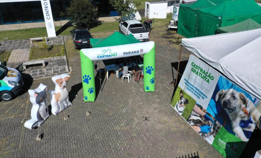 O Programa Permanente de Esterilização de Cães e Gatos ? Castrapet chega a Campo Mourão nesta terça-feira (03). Ao todo, 405 animais são aguardados no castramóvel do Governo do Paraná, entre cães e gatos.  O programa é permanente e a meta é atingir 100% do Estado. -  Curitiba, 02/08/2021  -  Foto: Alessandro Vieira/AEN