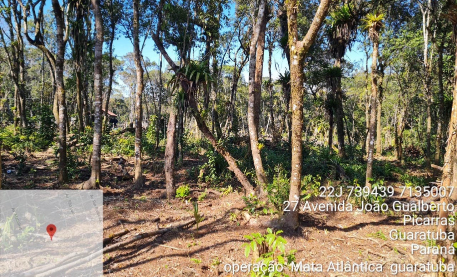 Força-tarefa no litoral identifica mais de 100 hectares de desmatamento ilegal  -  curitiba, 03/08/2021  -  Foto: IAT