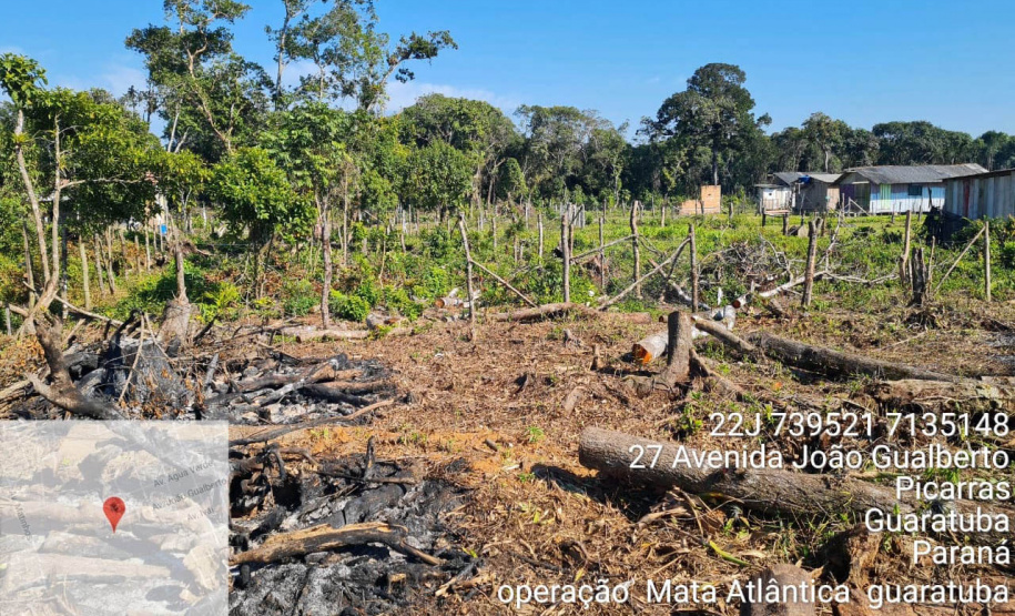 Força-tarefa no litoral identifica mais de 100 hectares de desmatamento ilegal  -  curitiba, 03/08/2021  -  Foto: IAT