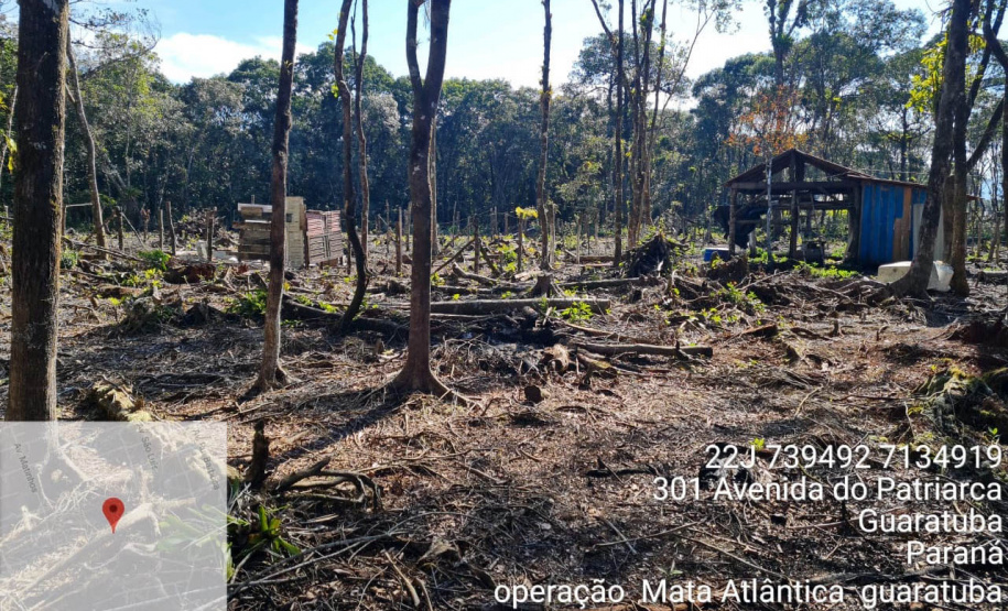 Força-tarefa no litoral identifica mais de 100 hectares de desmatamento ilegal  -  curitiba, 03/08/2021  -  Foto: IAT