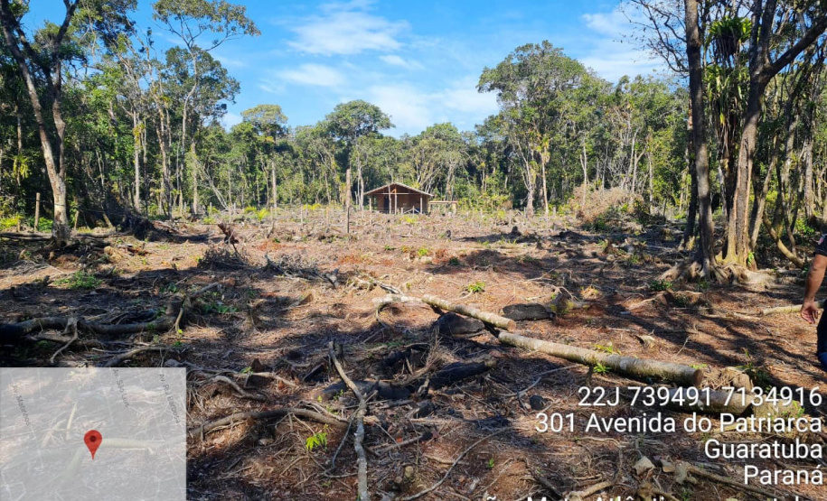 Força-tarefa no litoral identifica mais de 100 hectares de desmatamento ilegal  -  curitiba, 03/08/2021  -  Foto: IAT