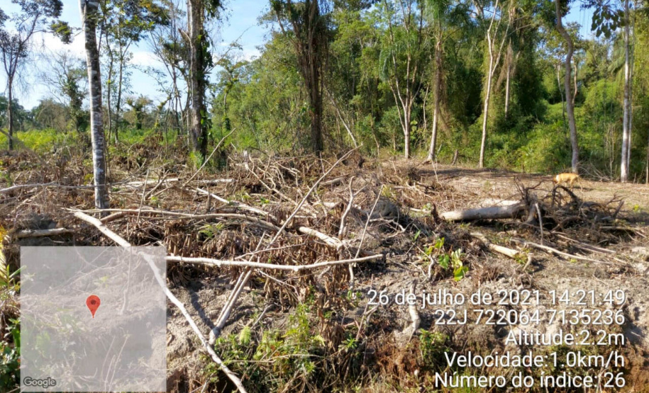 Força-tarefa no litoral identifica mais de 100 hectares de desmatamento ilegal  -  curitiba, 03/08/2021  -  Foto: IAT