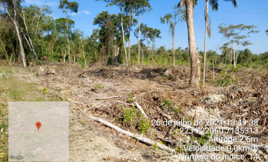 Força-tarefa no litoral identifica mais de 100 hectares de desmatamento ilegal  -  curitiba, 03/08/2021  -  Foto: IAT