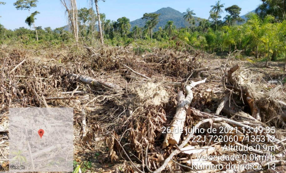 Força-tarefa no litoral identifica mais de 100 hectares de desmatamento ilegal  -  curitiba, 03/08/2021  -  Foto: IAT