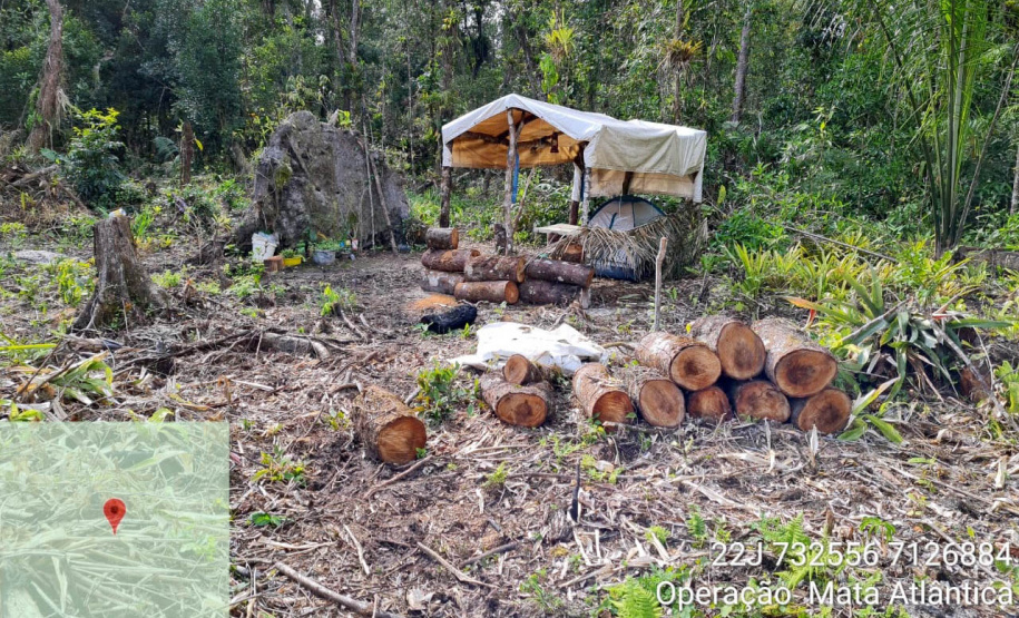 Força-tarefa no litoral identifica mais de 100 hectares de desmatamento ilegal  -  curitiba, 03/08/2021  -  Foto: IAT