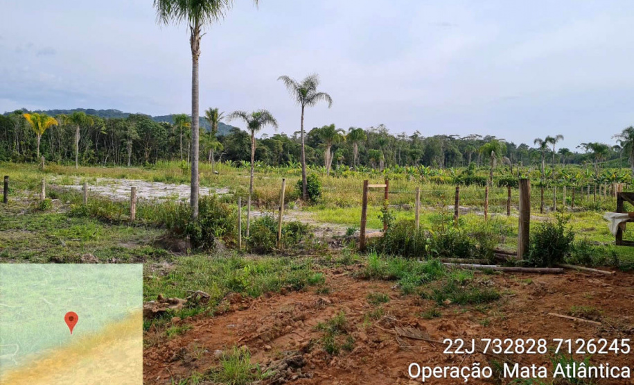 Força-tarefa no litoral identifica mais de 100 hectares de desmatamento ilegal  -  curitiba, 03/08/2021  -  Foto: IAT