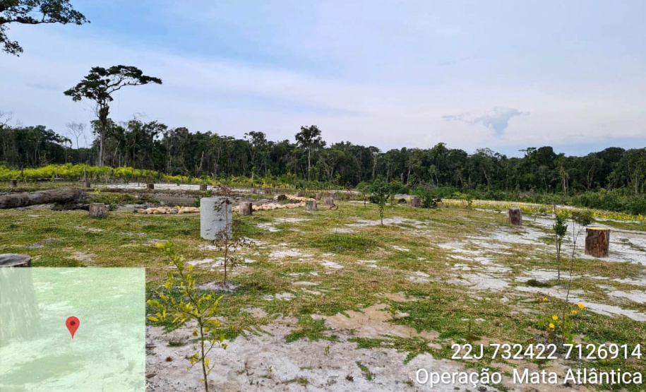 Força-tarefa no litoral identifica mais de 100 hectares de desmatamento ilegal  -  curitiba, 03/08/2021  -  Foto: IAT