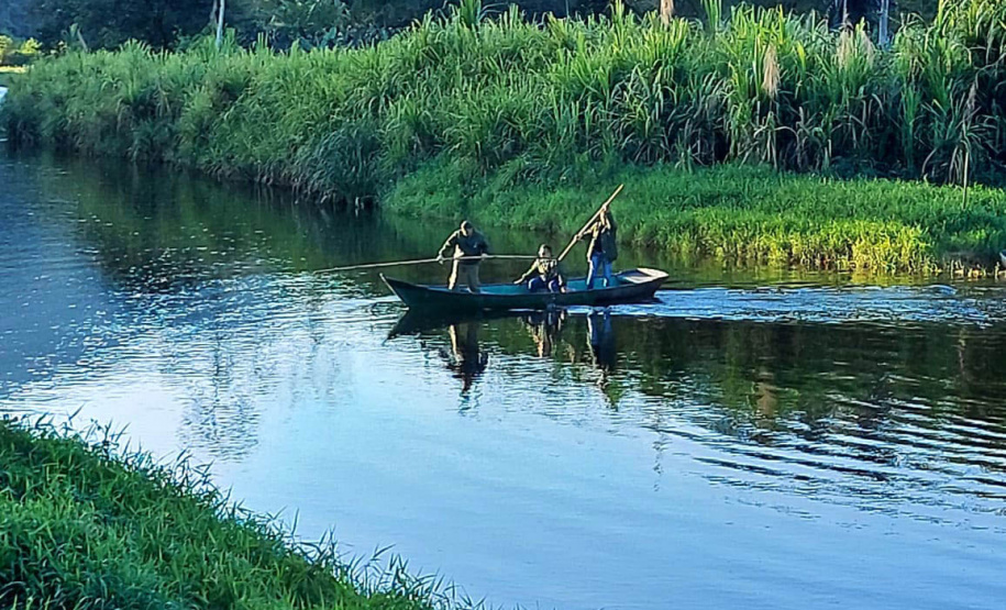 Força-tarefa no litoral identifica mais de 100 hectares de desmatamento ilegal  -  curitiba, 03/08/2021  -  Foto: IAT