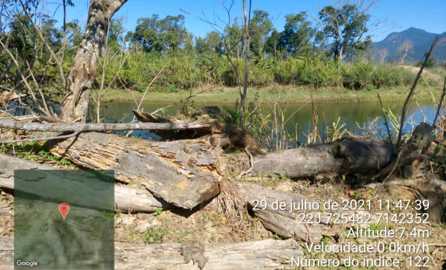 Força-tarefa no litoral identifica mais de 100 hectares de desmatamento ilegal  -  curitiba, 03/08/2021  -  Foto: IAT