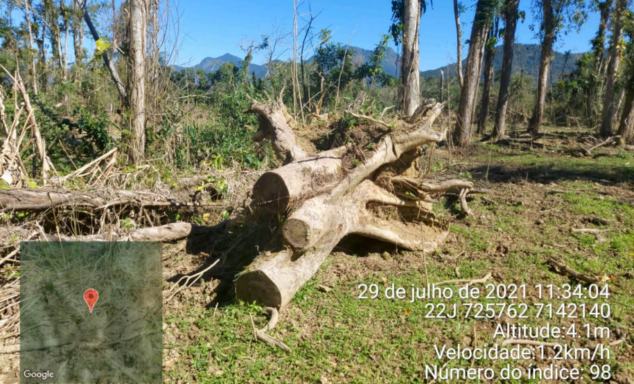 Força-tarefa no litoral identifica mais de 100 hectares de desmatamento ilegal  -  curitiba, 03/08/2021  -  Foto: IAT