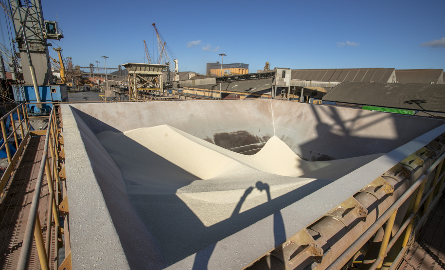 Uma operação diferente chama a atenção no Porto de Paranaguá, nesta semana