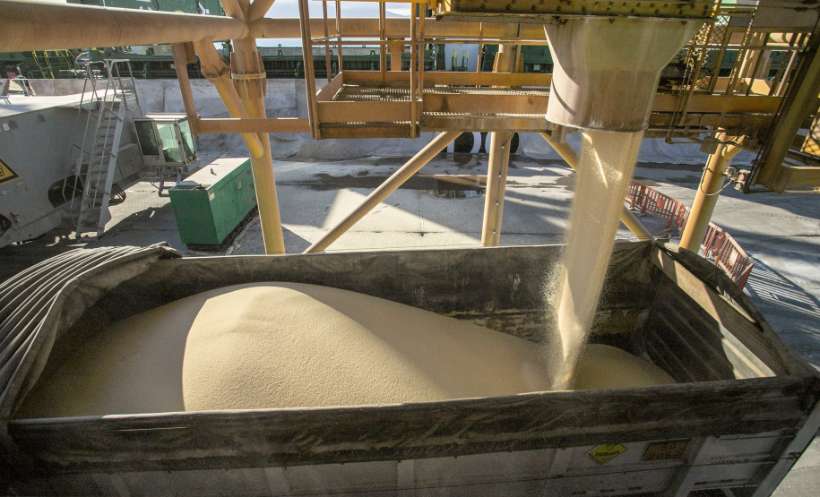 Uma operação diferente chama a atenção no Porto de Paranaguá, nesta semana