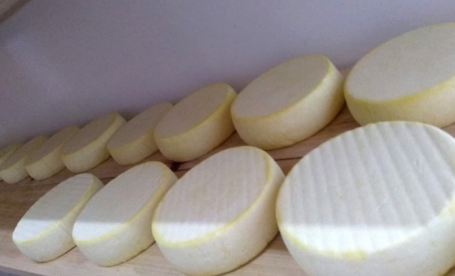 Agroindústria e assistência técnica promovem geração de renda - Foto: IDR-PARANÁ