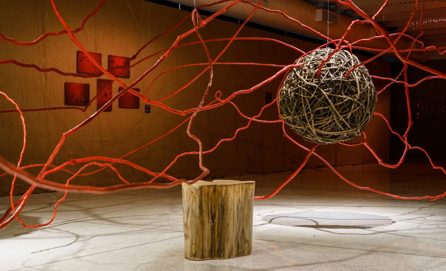 Exposição da artista Sonia Dias Souza será tema da programação on-line do MON em agosto - Curitiba, 03/08/2021 - Foto: André Nacli