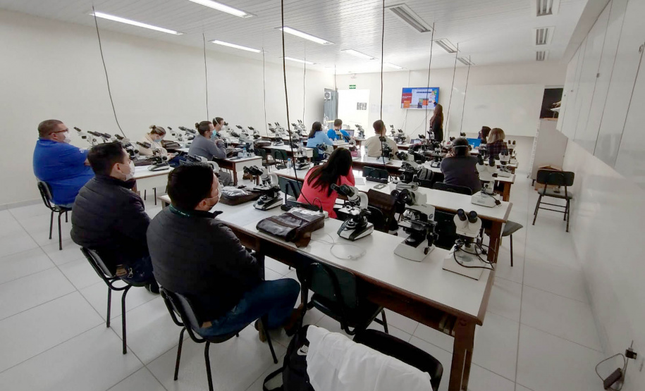 Sesa promove capacitação para a identificação e classificação do bicho barbeiro, vetor da Doença de Chagas
Foto: SESA