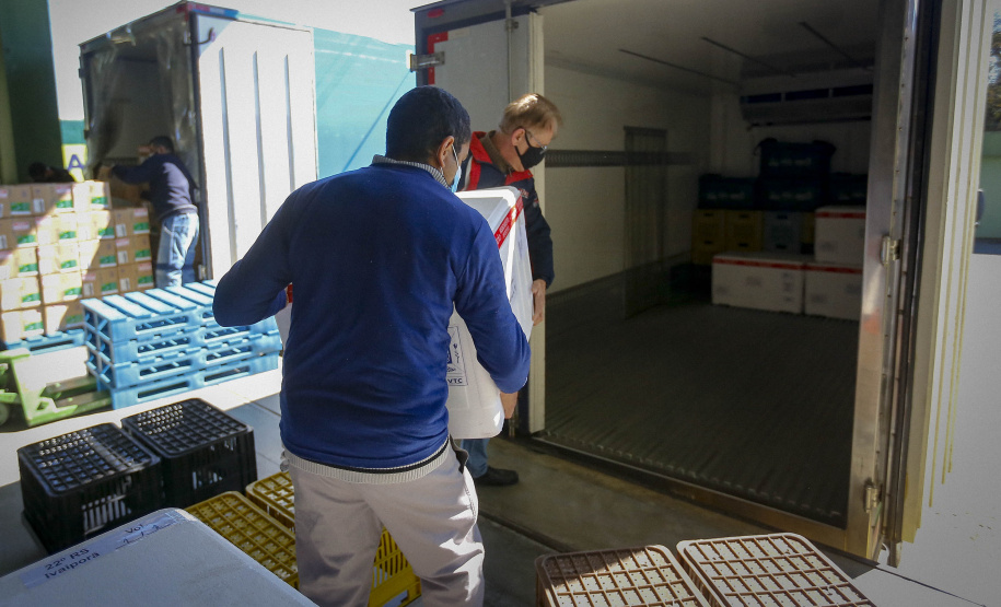 29/07/2021 - Distribuição de vacinas para Regionais
Foto Gilson Abreu/AEN