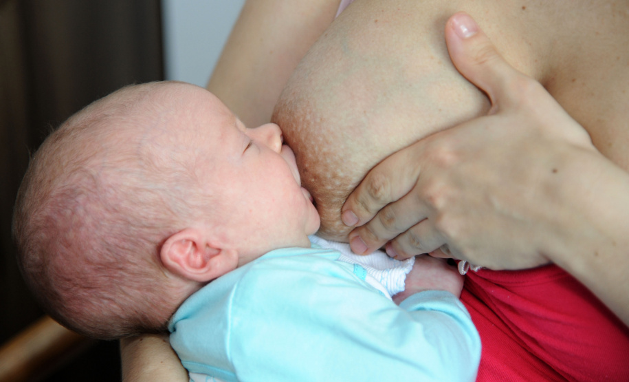 Aleitamento materno.Foto: Venilton Küchler/SESA