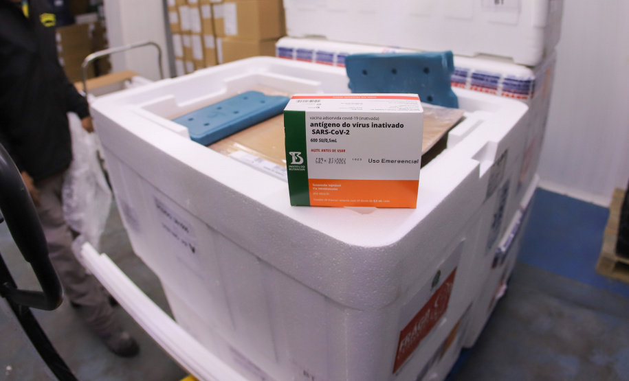 Vacina Chegada Novo lote de 57.600 da CoronaVac chegam no Centro de Medicamentos do Paraná (Cemepar), em Curitiba, na manha desta quarta-feira (4). Foto: Geraldo Bubniak/AEN