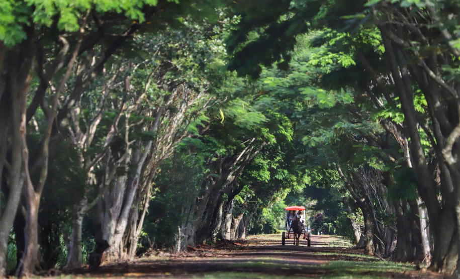 Hotel Fazenda Itacorá. Itaipulândia. Foto: José Fernando Ogura/ANPr