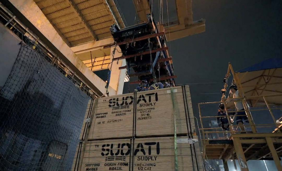 Madeira volta a ser embarcada direto no porão do navio no Porto de Paranaguá . Foto: Divulgação/TCP