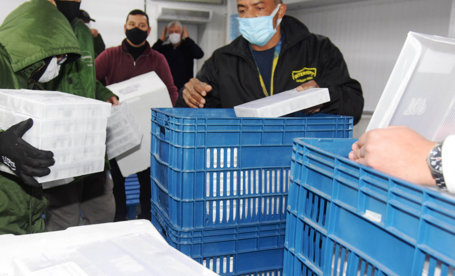 A Secretaria de Estado da Saúde recebeu 279.290 vacinas contra a Covid-19 na tarde desta sexta-feira (6), sendo 177.840 doses da Pfizer/BioNTech, 97.300 da AstraZeneca/Covax e 4.150 Janssen/Johnson & Johnson. Os imunizantes foram enviados via terrestre.  -  curitiba, 06/08/2021  -  Foto: Américo Antonio/SESA