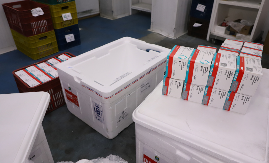 O Paraná recebeu mais 136.500 doses da AstraZeneca/Fiocruz na noite desta sexta-feira (6). Os imunizantes contra a Covid-19 chegaram no Aeroporto Internacional Afonso Pena, em São José dos Pinhais, por volta das 20 horas, complementando a 35ª pauta de distribuição do Ministério da Saúde.  -  Curitiba, 06/08/2021  - Foto: Ari Dias/AEN