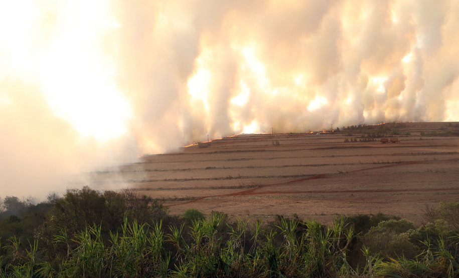 A estiagem severa que atinge o Paraná, aliada ao clima seco característico da estação e a vegetação ressecada por causa das geadas acendem um alerta no Estado para a ocorrência de incêndios florestais, com risco muito alto em todas as regiões.Foto:Gilson Abreu/AEN
