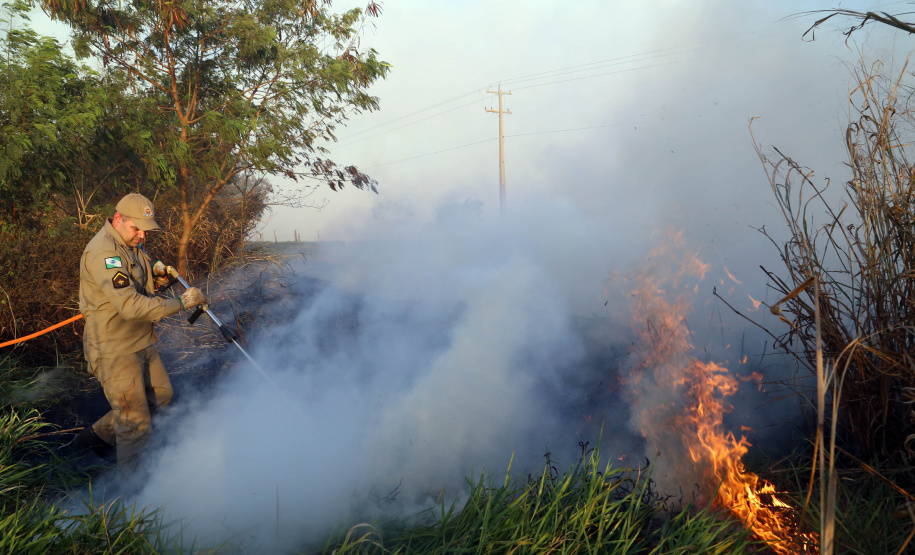 A estiagem severa que atinge o Paraná, aliada ao clima seco característico da estação e a vegetação ressecada por causa das geadas acendem um alerta no Estado para a ocorrência de incêndios florestais, com risco muito alto em todas as regiões.Foto:Gilson Abreu/AEN