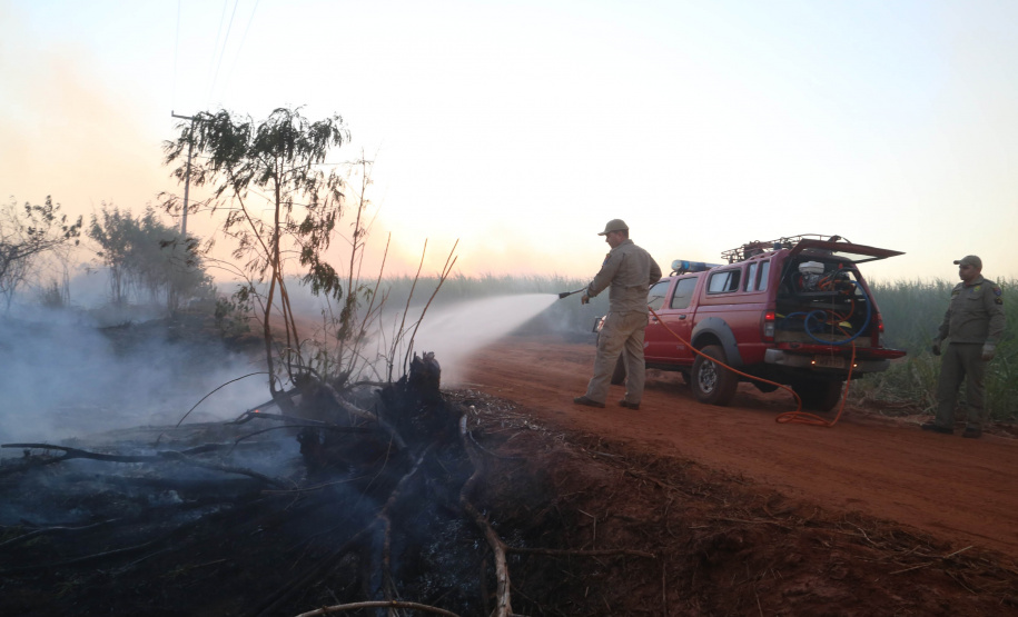 A estiagem severa que atinge o Paraná, aliada ao clima seco característico da estação e a vegetação ressecada por causa das geadas acendem um alerta no Estado para a ocorrência de incêndios florestais, com risco muito alto em todas as regiões.Foto:Gilson Abreu/AEN
